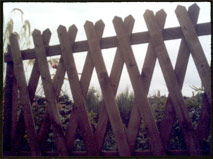 Detail of "St Andrews" fence, so called having seen it at the Open, I copied this design.