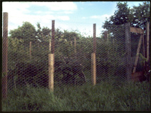 6 ft netting, chain link can also keep your pet in your garden.